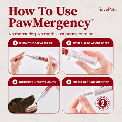 PawMergency Activated Charcoal First Aid Kit for Pets