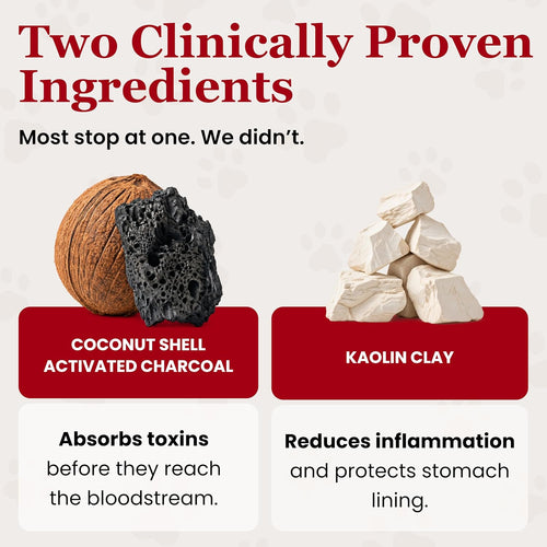 PawMergency Activated Charcoal First Aid Kit for Pets
